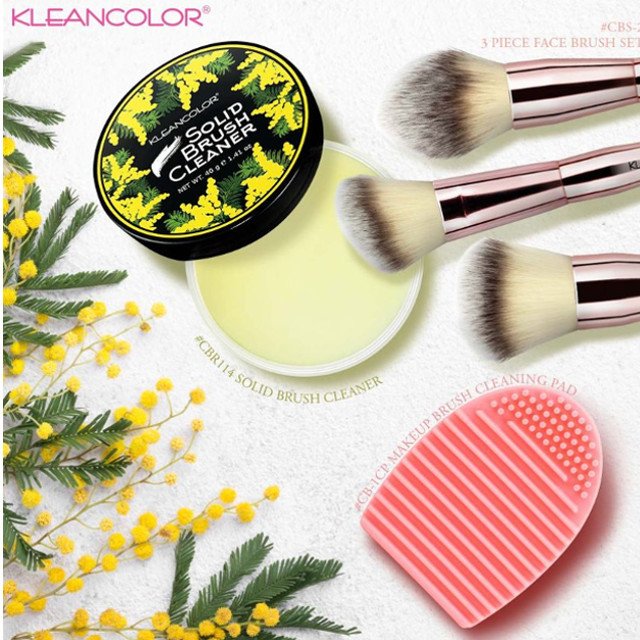 LimpiadorDeBrochaKleinColor_2 Limpiador de Brochas Sólido - Kleancolor