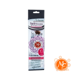 Set de 10 Pinceles - MC Nails