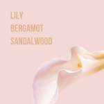 Fragancia Corporal "All Mine" – Beauty Creations - Imagen 2